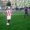 SAM_2057